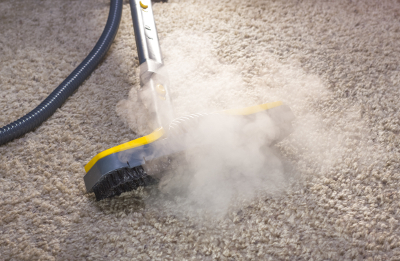 Mt Morris MI Pet Odor Treatment - Atlas Cleaning Service, Inc. - carpettreatment2