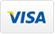 Visa credit card logo